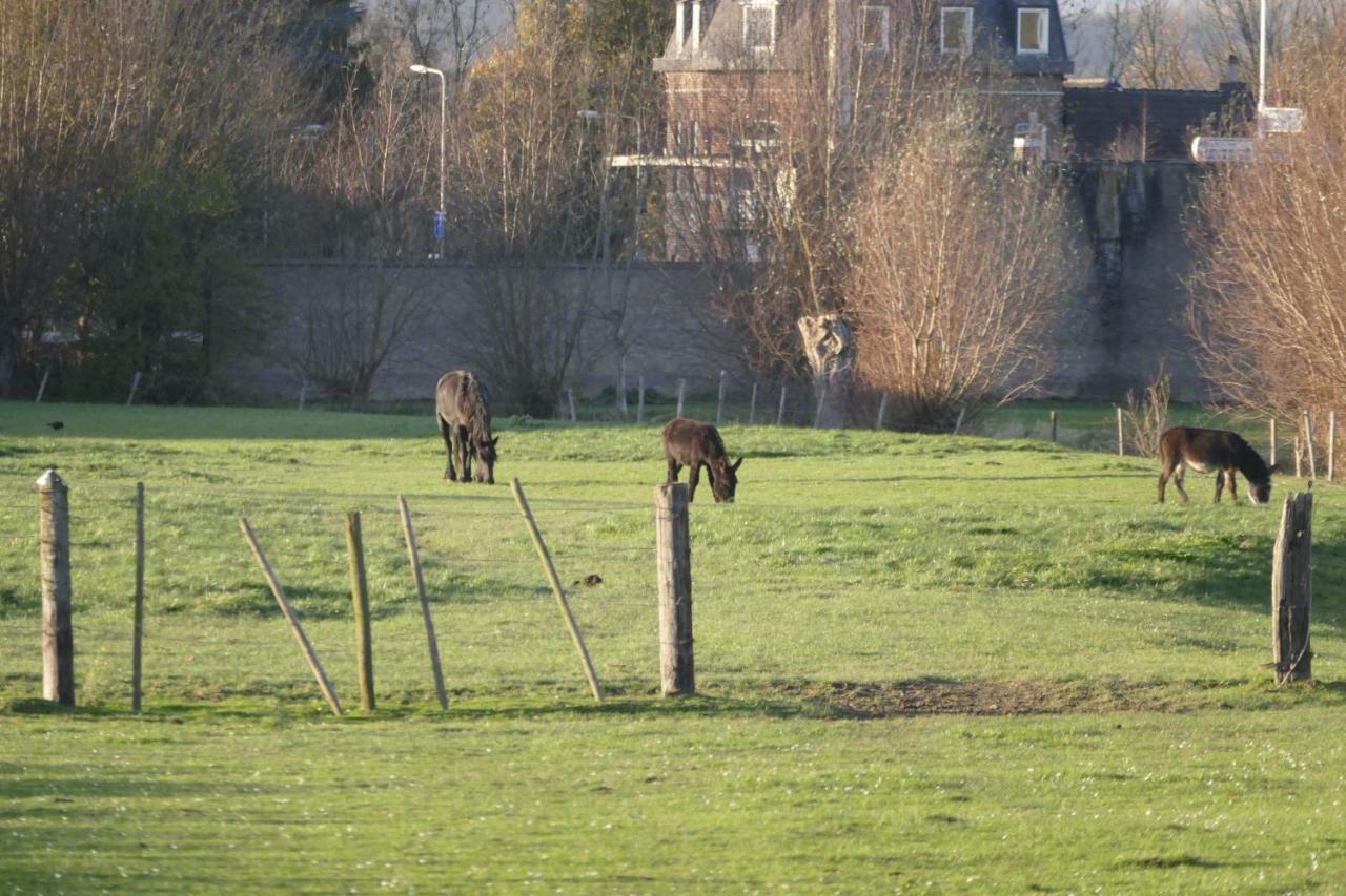 Meschermolen 9 Exteriör bild